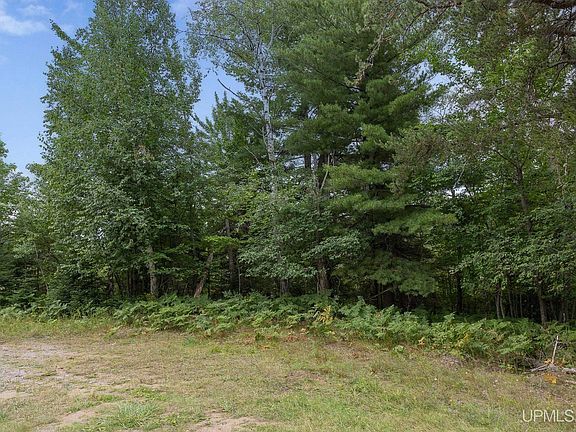 2nd image of LOT 3 S Basin Dr