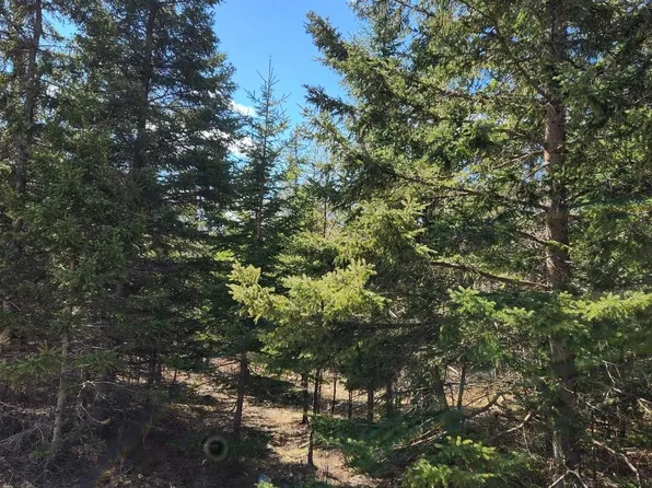 /vacant Land Us 131, Boyne Falls, MI 49713