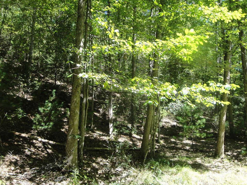 2nd image of 2275 Brownsburg Rd