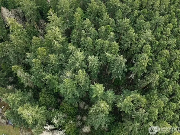 4250 Cleveland St, Port Townsend, WA 98368