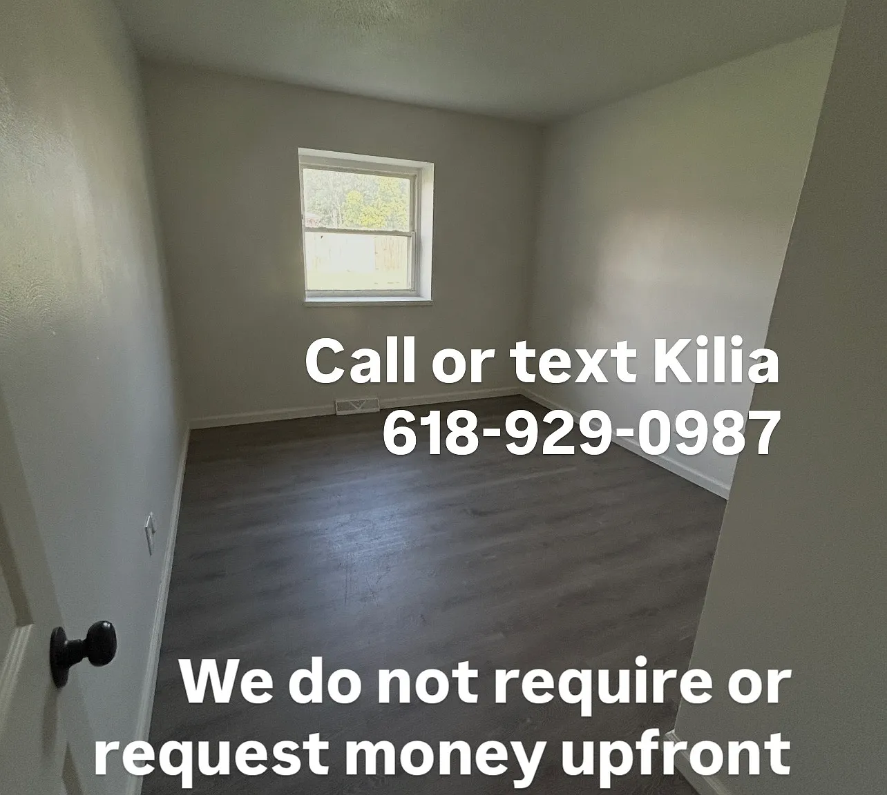 1 bed, $850 — Photo 4