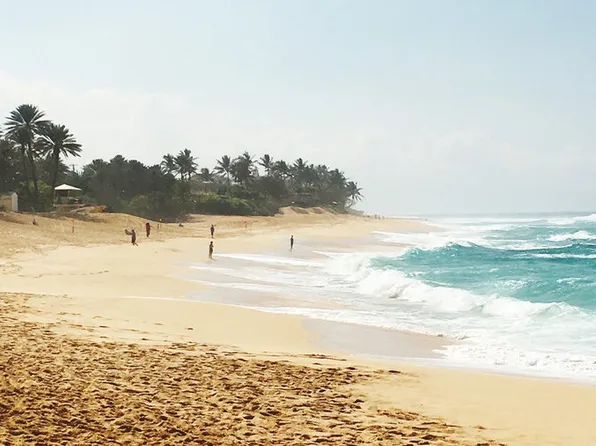 58-298 Kamehameha Hwy #A, Haleiwa, HI 96712