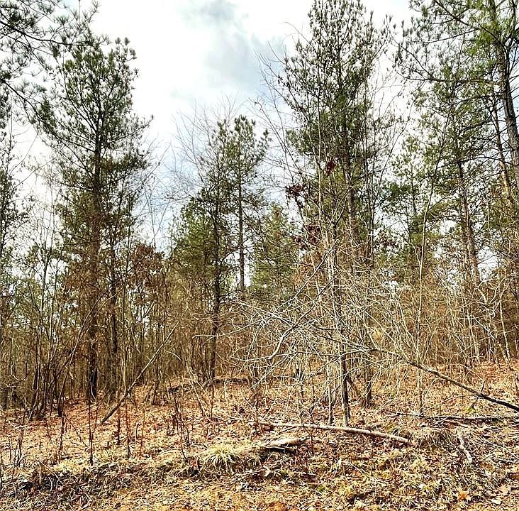 2nd image of 720 Timber Creek Trl