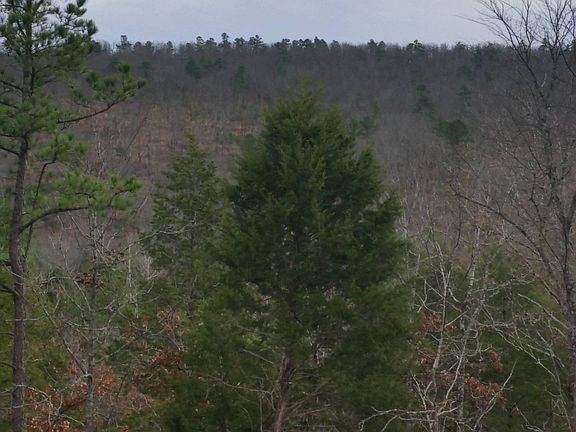 3rd image of 11224 SE Highway 2