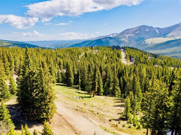 46 Robertson Ln, Breckenridge, CO 80424