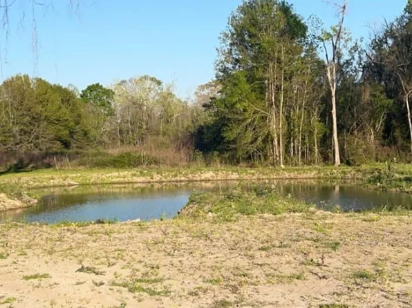 Poirrier Rd, Saint Amant, LA 70774