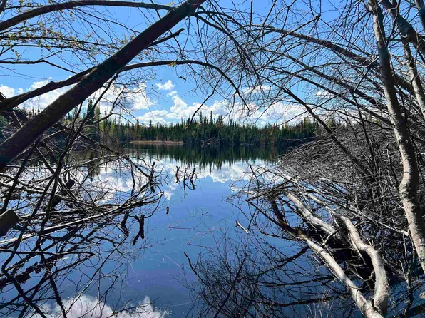 Nhn Thoreau Dr, Fairbanks, AK 99712