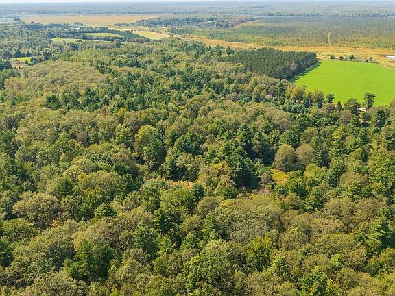 4th image of 68.53 acres BOUNDARY ROAD