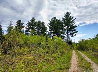 Swan Rd, Crystal falls, MI 49920