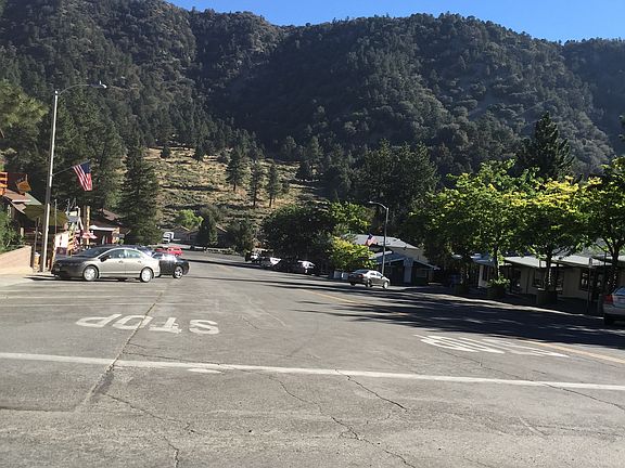 5th image of Conifer Dr