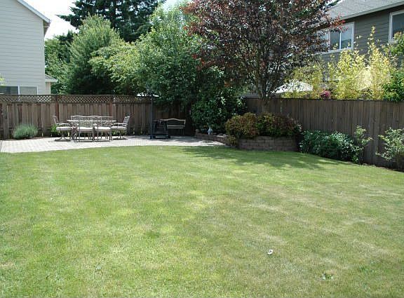 Large Back Yard