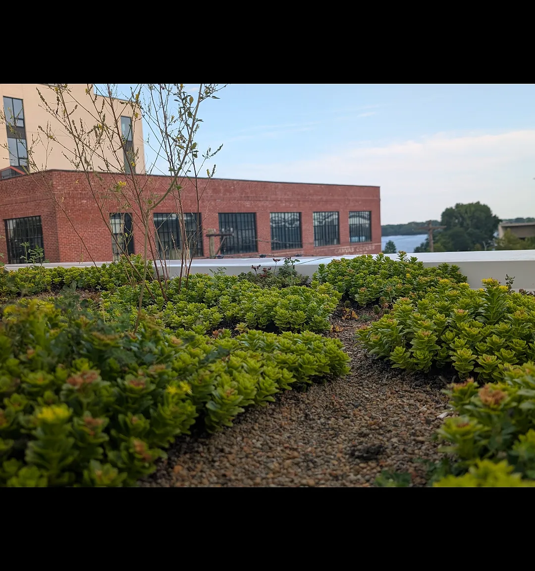 950 Shackamaxon St — Photo 1