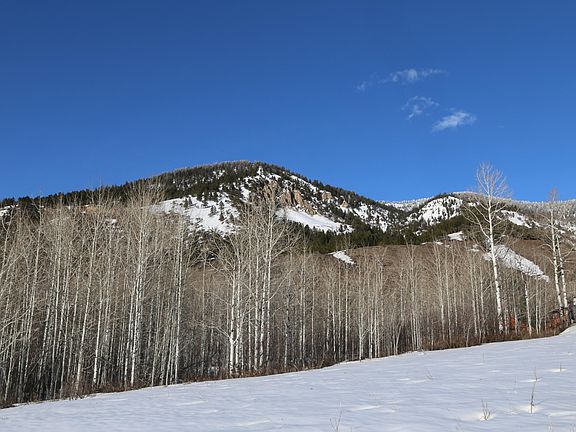 4th image of PL1 Dogwood Lot 21