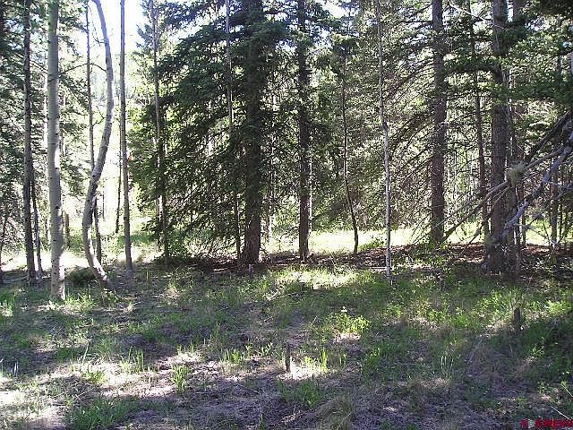 2nd image of 22900 State Highway 17 Unit 40