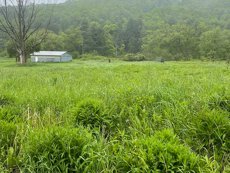 View from road