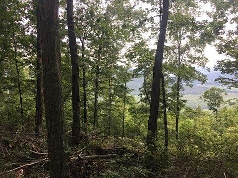 3rd image of 704 Stoneclift Dr