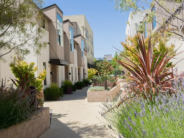The Apartment Collection at Bay Meadows — Photo 7