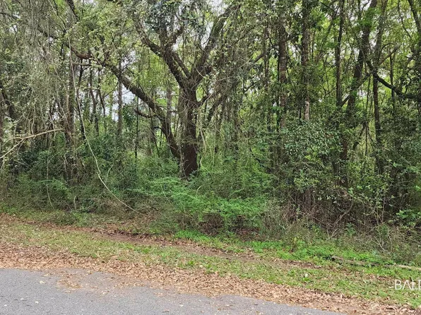 0 Mill House Dr N, Mobile, AL 36619