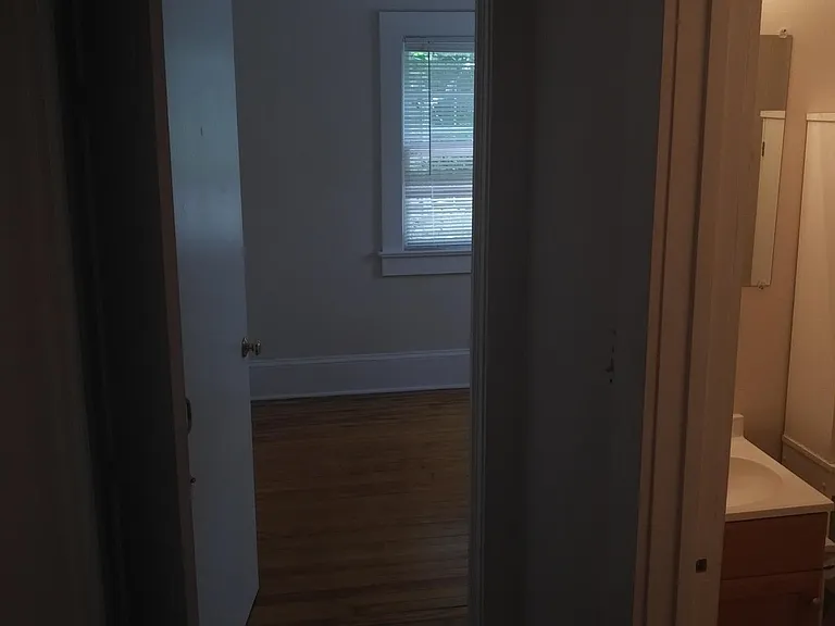 Hallway (small linen closet on the left )