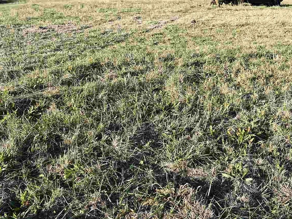 2nd image of 7 McCleary Rd Lot 7