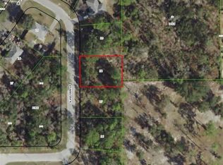 5424 S Velour Loop, Homosassa, FL 34446