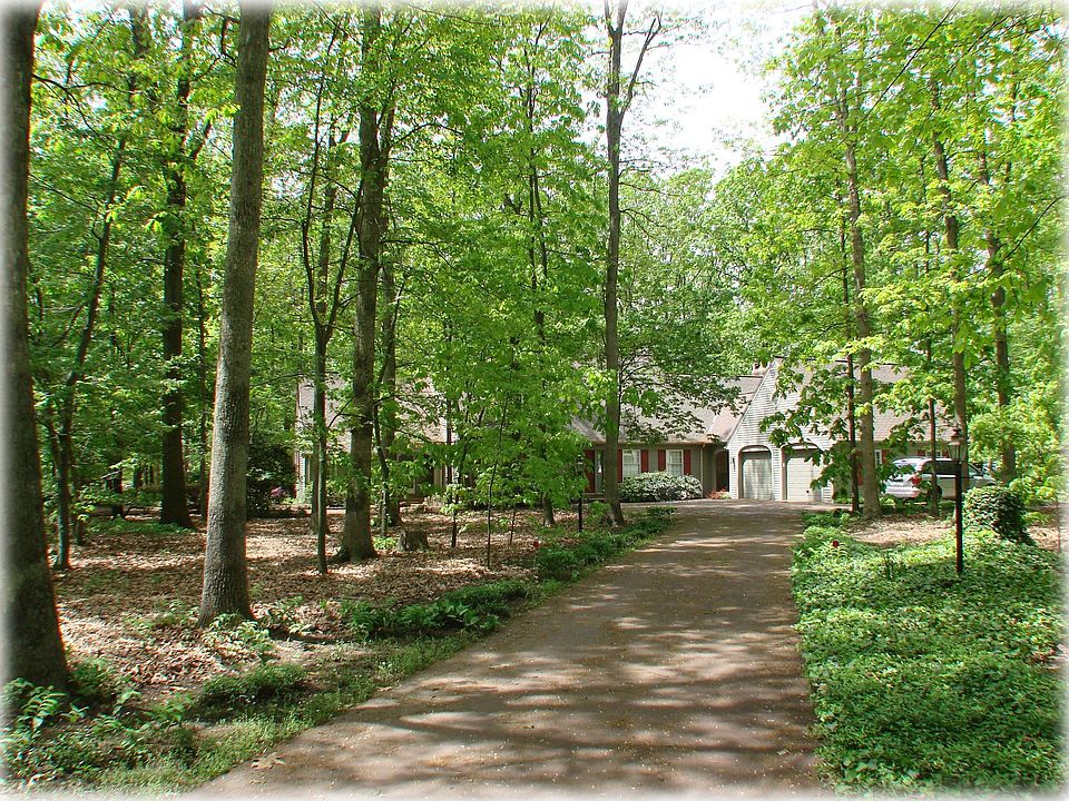 Tree-lined driveway
