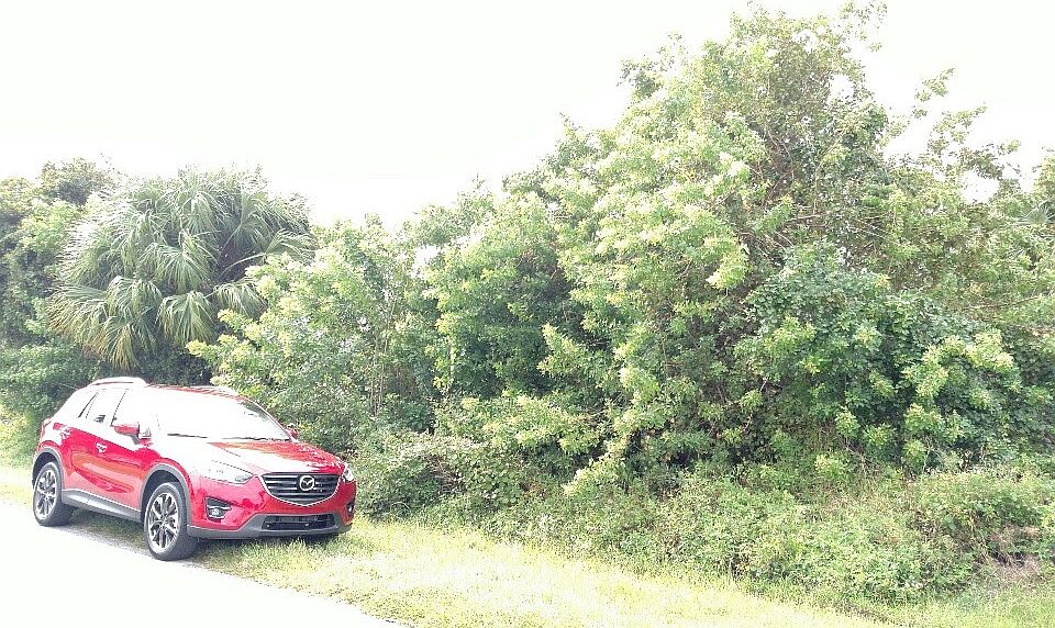 1st image of 2932 SW Van Buren Ter