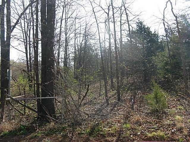 1st image of W Of Highway On E1020 Road Lot 12 #102