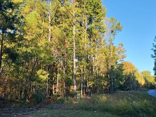 Penlan Rd, New Canton, VA 23123