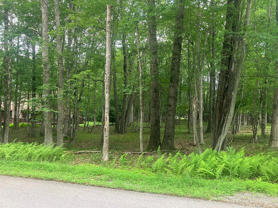 2nd image of Elliot Ln