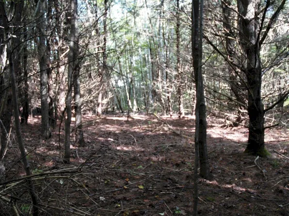 M7 L69-4 Willis Road, Benton, ME 04901