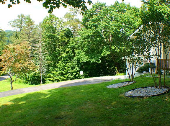 3rd image of 1222 Buck Mountain Cir