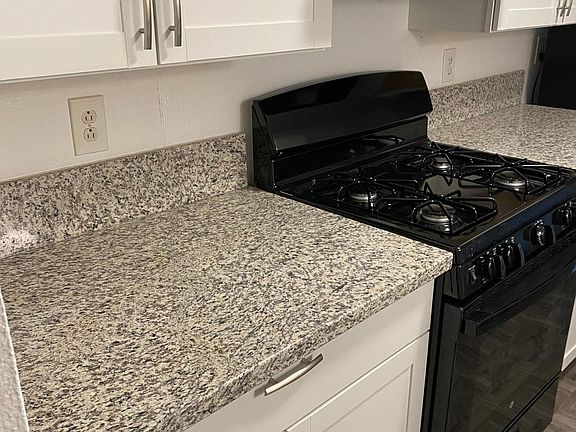 New granite countertops and cabinets . New stove