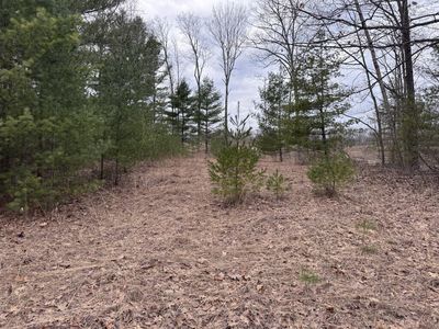 LOT 26 Mount Maria Rd, Hubbard Lake, MI, 49747
