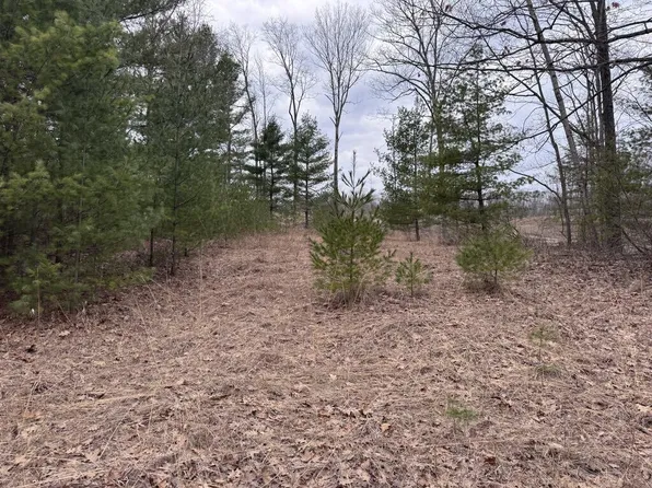 LOT 26 Mount Maria Rd, Hubbard Lake, MI 49747