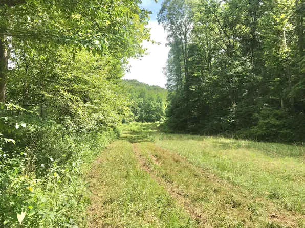 2112 Elmer Stone Rd, Olive Hill, KY 41164