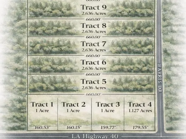 39599 Harris Rd, Independence, LA 70443