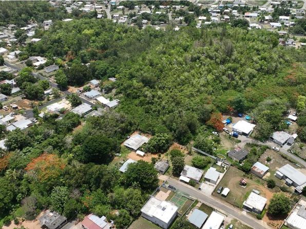 0 Bo Factor Sector Animas, Arecibo, PR 00612