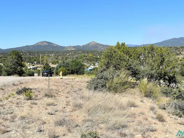 13 Hereford Dr, Silver City, NM 88061