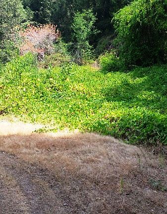 3rd image of Highland Dr