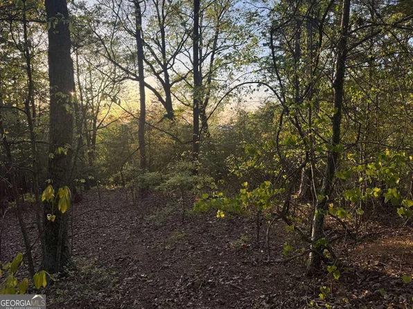 710 Railey Rd NE, Ranger, GA 30734