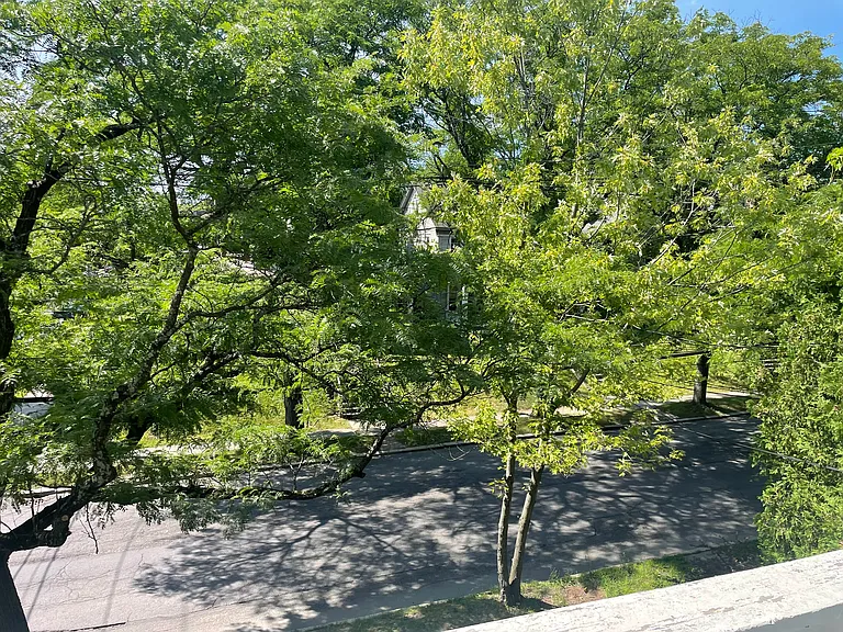 24 S Main Ave #2C — Photo 16