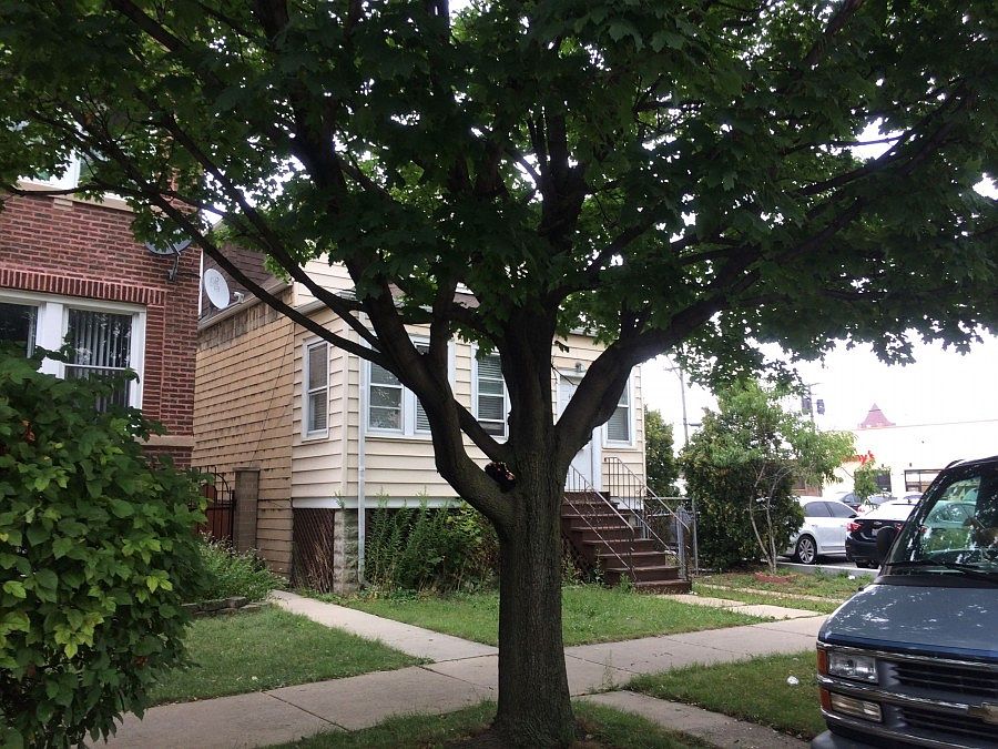 2nd image of 4818 W 24th Pl