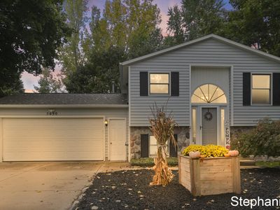 5690 Forest View St, Allendale, MI, 49401