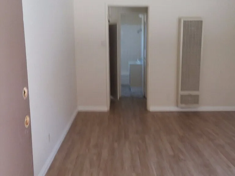 4729 San Vicente Blvd — Photo 5