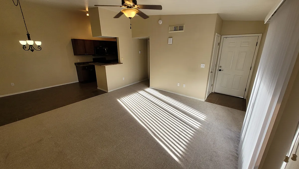 Living room and Kitchen - 1185 W University Ave #18-246