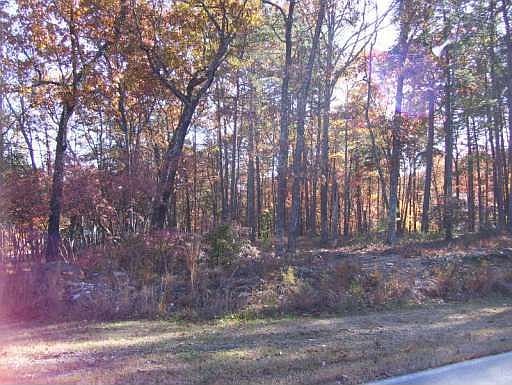 3rd image of 273 Cherokee Dr #2