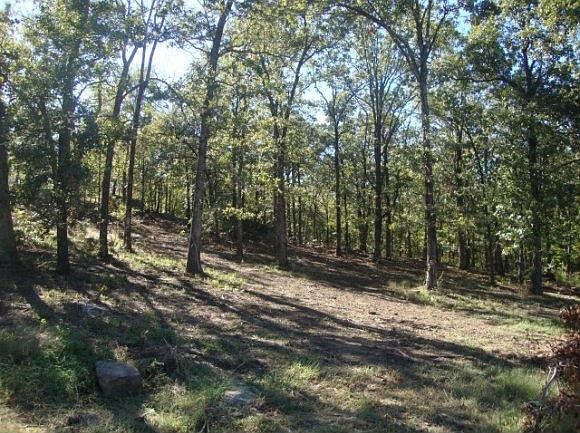 1st image of 20 S 4296th Rd Lot 20