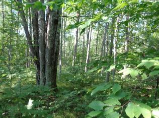 13130 Lori Ln, White Lake, WI 54491