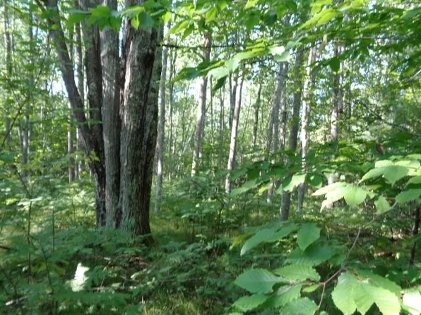 13130 Lori Ln, White Lake, WI 54491